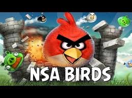 nsa birds
